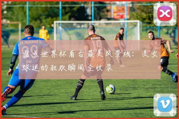 盘点世界杯看台最美风景线:美女球迷的狂欢瞬间全收录