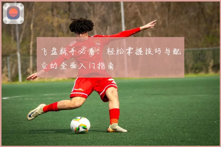 飞盘新手必看:轻松掌握技巧与配合的全面入门指南