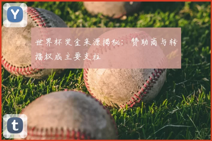 世界杯奖金来源揭秘:赞助商与转播权成主要支柱