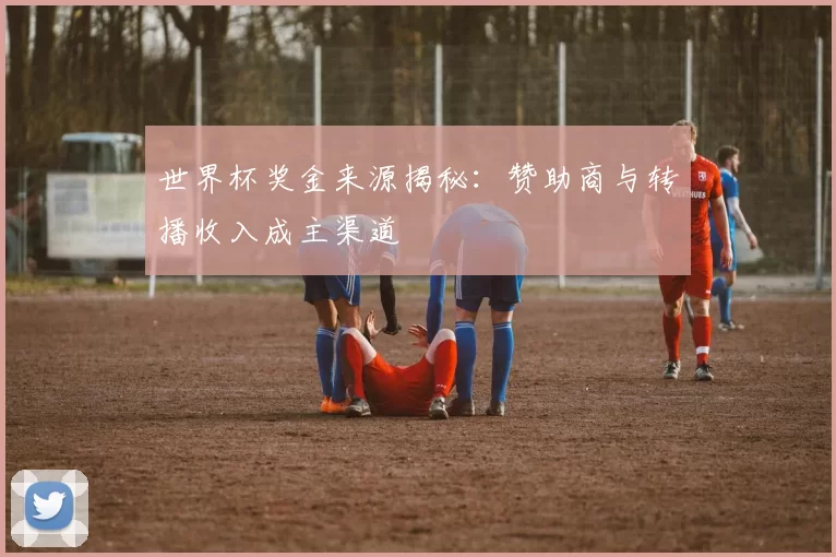 世界杯奖金来源揭秘:赞助商与转播收入成主渠道