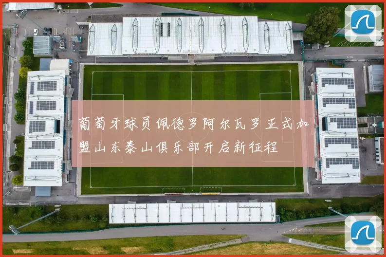 葡萄牙球员佩德罗阿尔瓦罗正式加盟山东泰山俱乐部开启新征程
