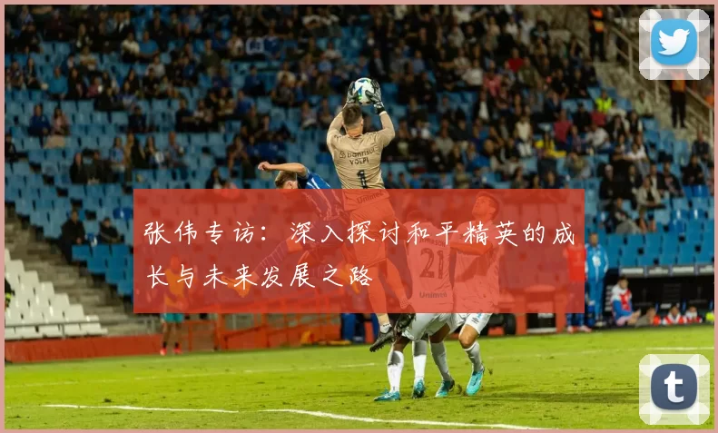 张伟专访：深入探讨和平精英的成长与未来发展之路