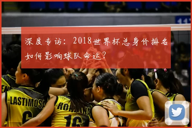 深度专访:2018世界杯总身价排名如何影响球队命运?