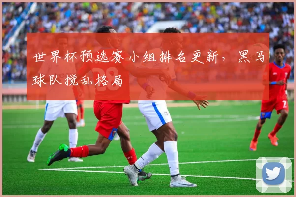 世界杯预选赛小组排名更新,黑马球队搅乱格局