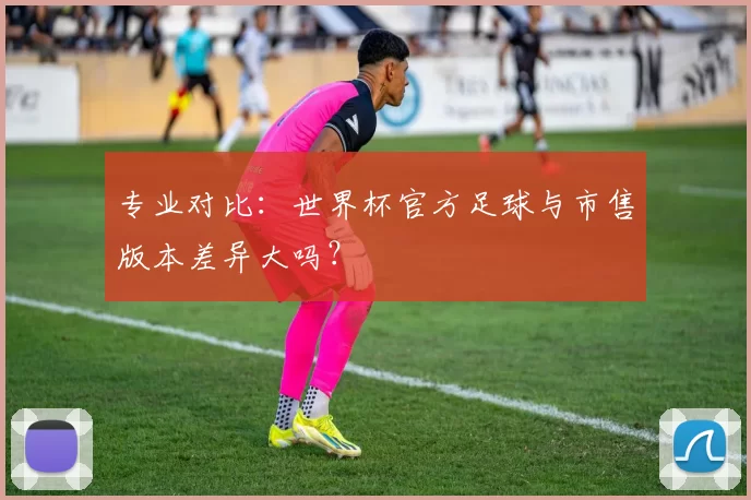 专业对比:世界杯官方足球与市售版本差异大吗?