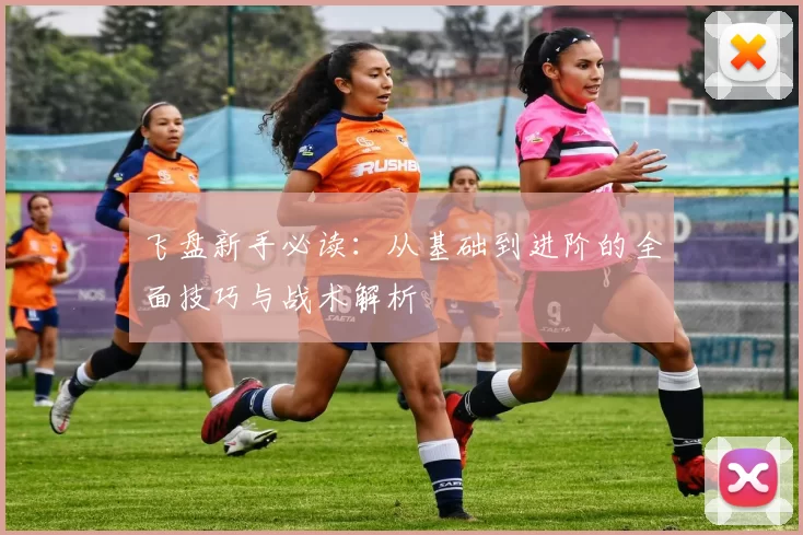飞盘新手必读:从基础到进阶的全面技巧与战术解析